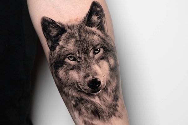 tatouage loup