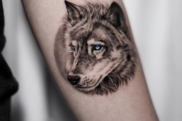 tatouage loup