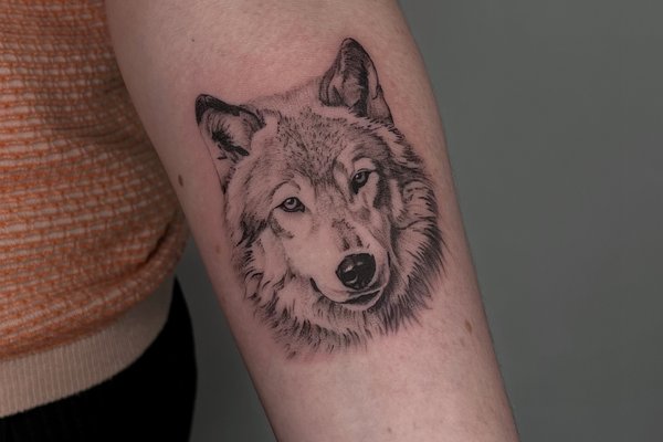 tatouage loup